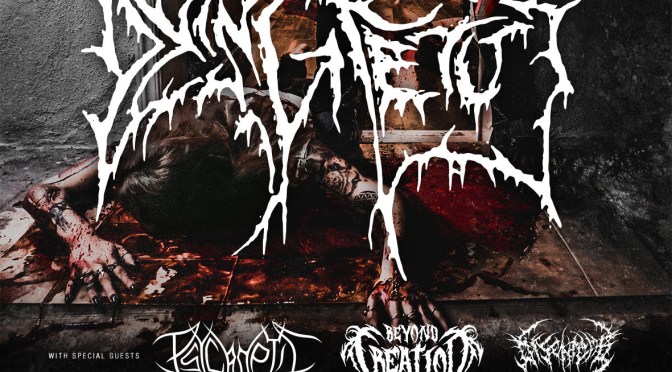 Beyond Creation kick off tour with Dying Fetus – Hamburg sold out!
